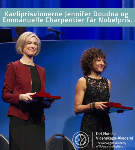 Kavliprisvinnere Jennifer Doudna og Emmanuelle Charpentier