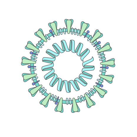 Illustrasjonsbilde av Covid 19 viruset