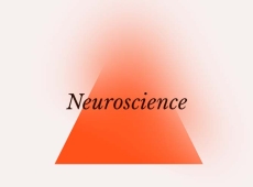 Neuroscience - element v.2