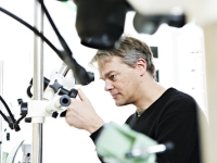 Forsker med mikroskop. Foto: Geir Morgen / NTNU